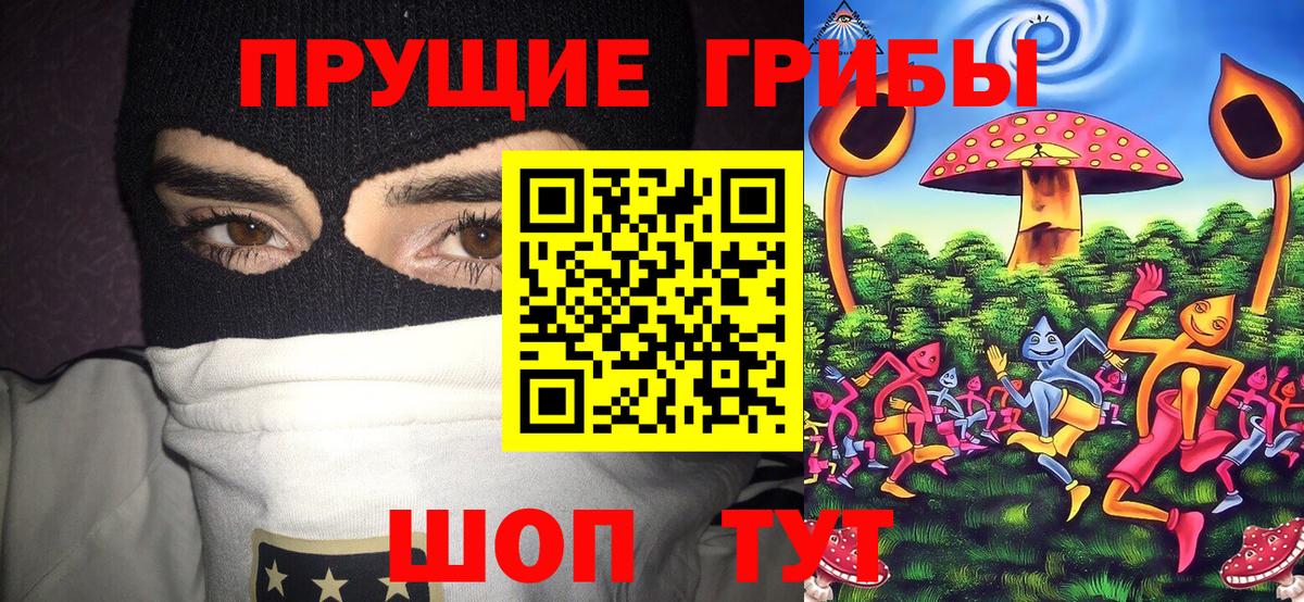 Нижнекамск  что такое   Вход с VPN  Псилоцибиновые грибы прущие грибы 