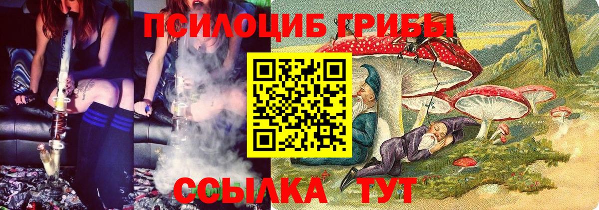 Псилоцибиновые грибы мухоморы Нижнекамск